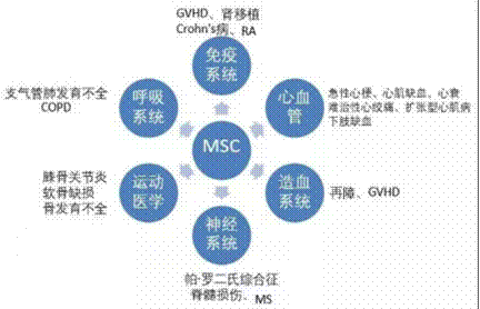 26项临床实验证明，间充质干细胞治疗膝骨关节炎有效，其疗法已经成功上市