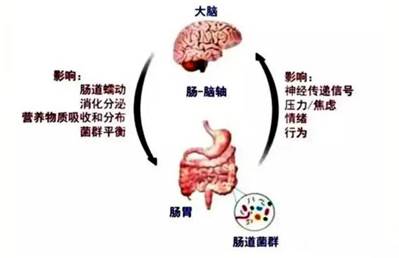 歌手李玟轻生离世……该如何走出抑郁黑洞？菌群移植或可终结重度抑郁，挽救生命！