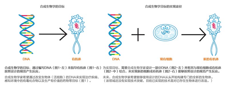 图片22